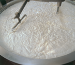 Il formaggio Pecorino Romano DOP (cagliatura)