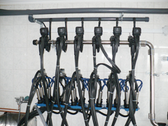 LE30 Pipeline