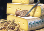 COMTE' AOP meule