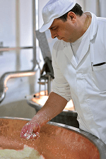 Grana Padano DOP